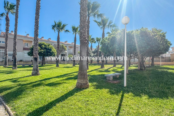 Вторичный рынок - Дуплекс - Torrevieja - Nueva Torrevieja - Aguas Nuevas