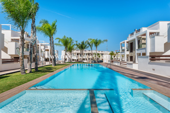 Obra Nueva - Bungalow bajo - Torrevieja