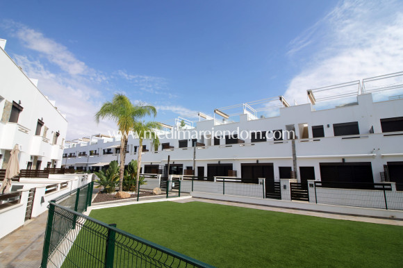 Nouvelle Construction - Terrasses - Pilar de la Horadada