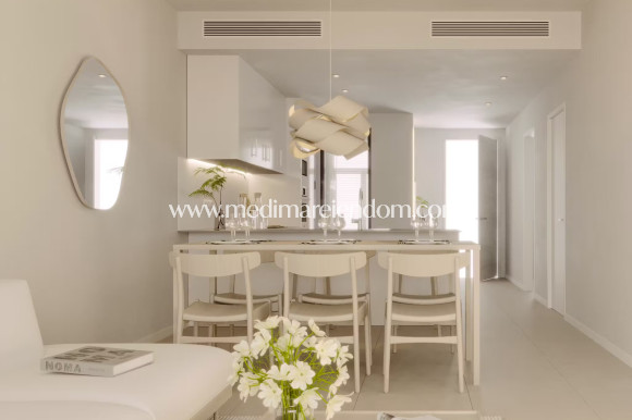 Nouvelle Construction - Penthouse - la Nucia - La Nucia