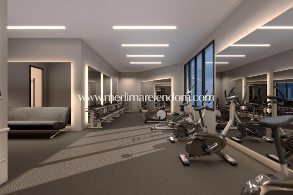 Nybyggnad - Penthouse - Torrevieja