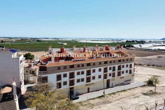 Nieuw gebouw - Appartement - Jerónimo y Avileses