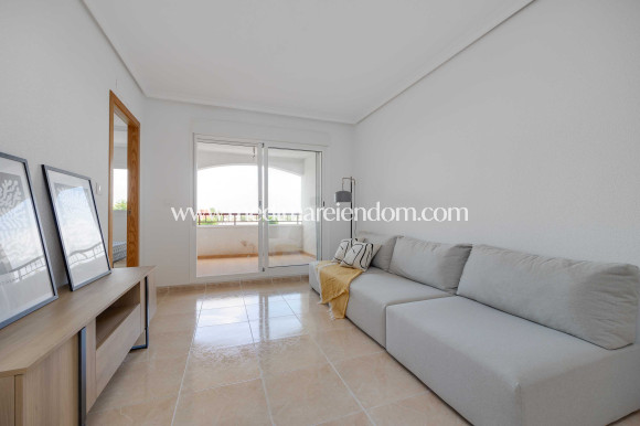 Obra Nueva - Apartamento - San Fulgencio