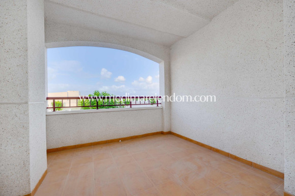 Obra Nueva - Apartamento - San Fulgencio