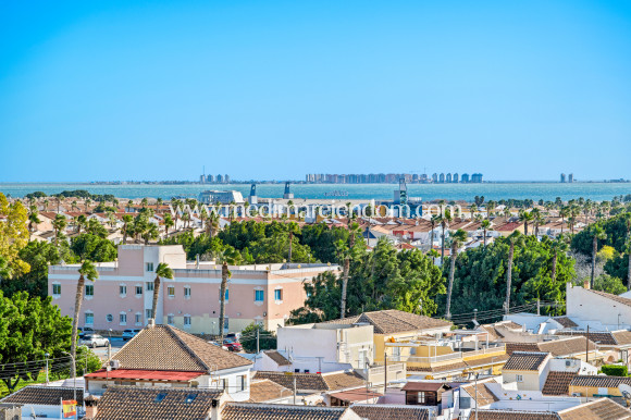Nybygg - Leilighet - Los Alcazares