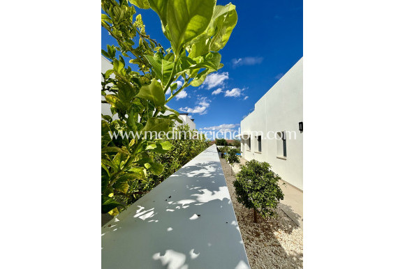 New build - Villa - Benijofar - Benijófar
