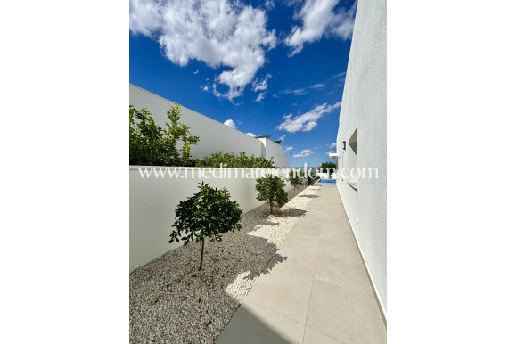 New build - Villa - Benijofar - Benijófar