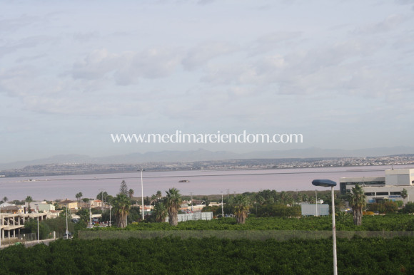 Новостройки - Дом на две семьи - Torrevieja