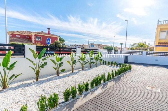 Новостройки - Penthouse - Torrevieja
