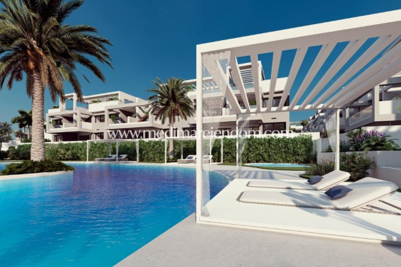 Nowo zbudowane - Niski bungalow - Torrevieja