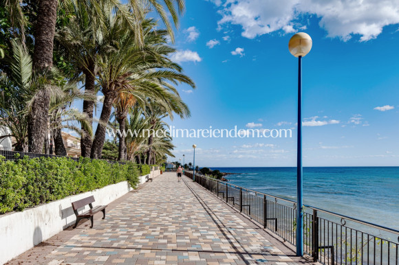 Resale - Apartment - Orihuela Costa - Punta Prima