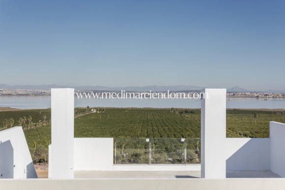 Obra Nueva - Terrazas - Torrevieja