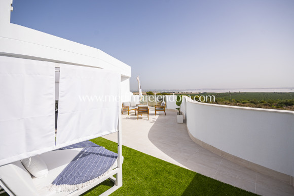 Obra Nueva - Terrazas - Torrevieja