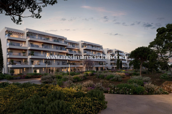 Nouvelle Construction - Appartement - El Verger