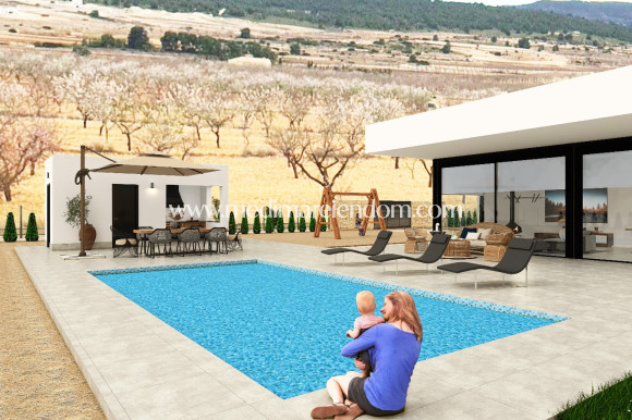 Obra Nueva - Villa - Pinoso