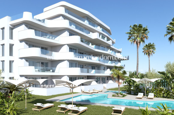 Obra Nueva - Apartamento en planta baja - Torre de la Horadada
