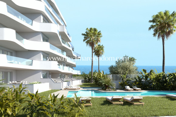 Obra Nueva - Apartamento en planta baja - Torre de la Horadada
