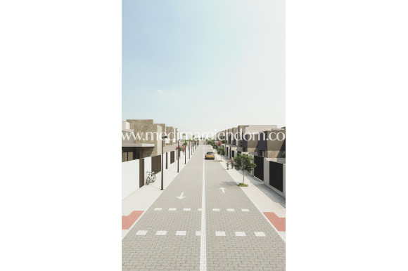 Nieuw gebouw - Villa - San Juan de los Terreros