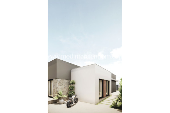 Nieuw gebouw - Villa - San Juan de los Terreros