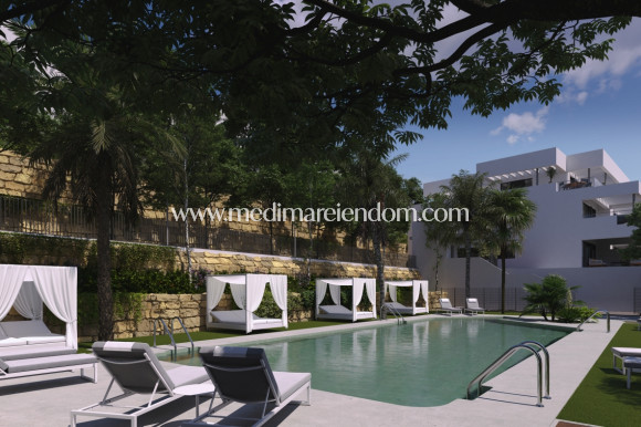 Nybygg - Penthouse - Casares