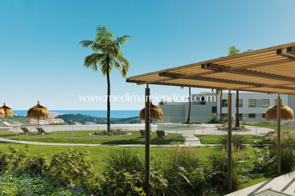 Nybygg - Penthouse - Casares
