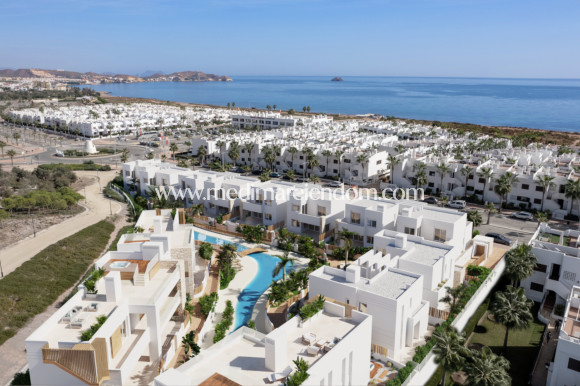 Nouvelle Construction - Bungalow de plain-pied - San Juan de los Terreros