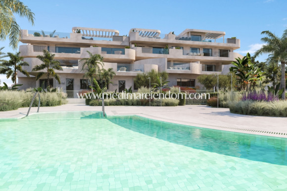 Nouvelle Construction - Penthouse - Estepona