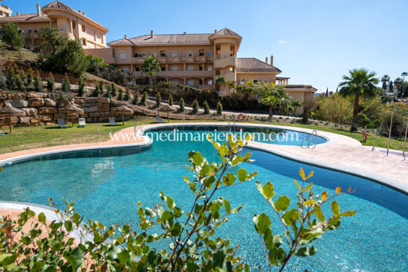 Nouvelle Construction - Penthouse - Marbella