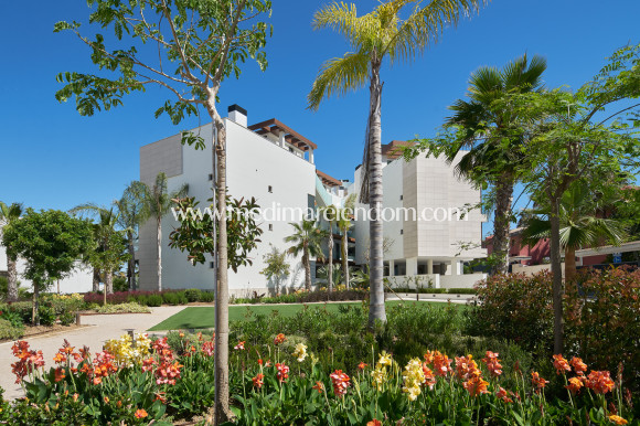 Новостройки - Апартаменты - Estepona