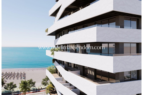 Neubauten - Apartment - Málaga