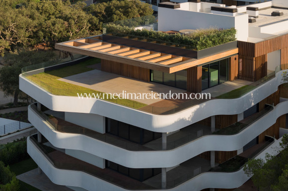 Obra Nueva - Apartamento en planta baja - Pueblo Nuevo