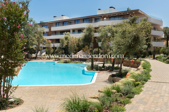 Obra Nueva - Apartamento en planta baja - Pueblo Nuevo