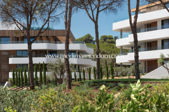 Obra Nueva - Apartamento en planta baja - Pueblo Nuevo