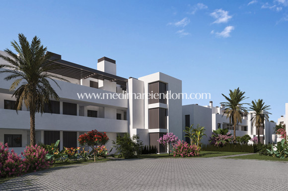 Obra Nueva - Apartamento en planta baja - San Roque
