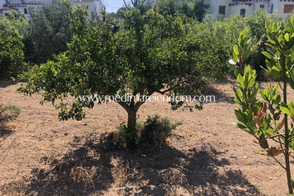 Odsprzedaż - Działka - Calpe - PLAYA COSTA