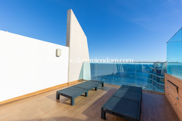 Brukt bolig - Penthouse - Torrevieja - Punta Prima