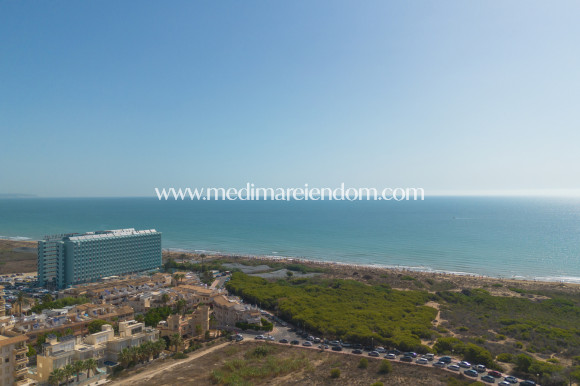 Verkauf - Apartment - Guardamar del Segura - Guardamar Del Segura