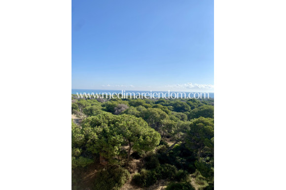 New build - Ground floor apartment - Guardamar del Segura - Guardamar Del Segura