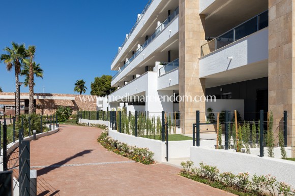Nybyggnad - Lägenhet - Orihuela Costa - La Zenia