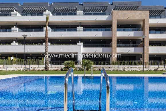 Neubauten - Apartment - Playa Flamenca