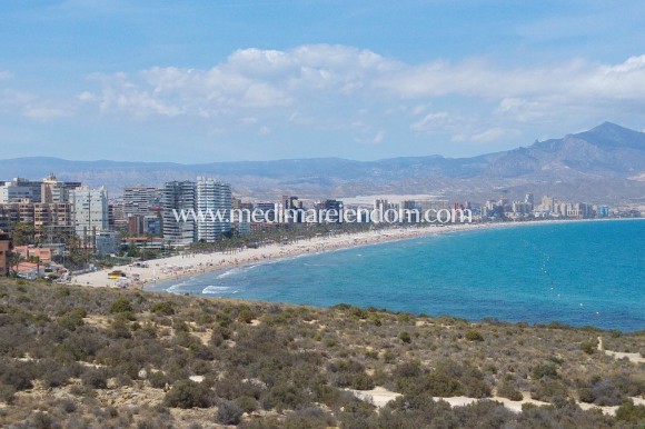 Nýbygging - Penthouse - San Juan Alicante - Fran Espinos