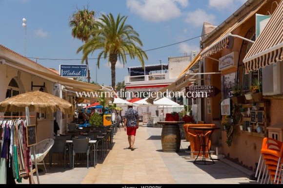 Nowo zbudowane - Willa - Pilar de la Horadada - Mil Palmeras