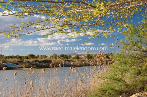 Nieuw gebouw - Bungalow - Guardamar del Segura - Guardamar Del Segura