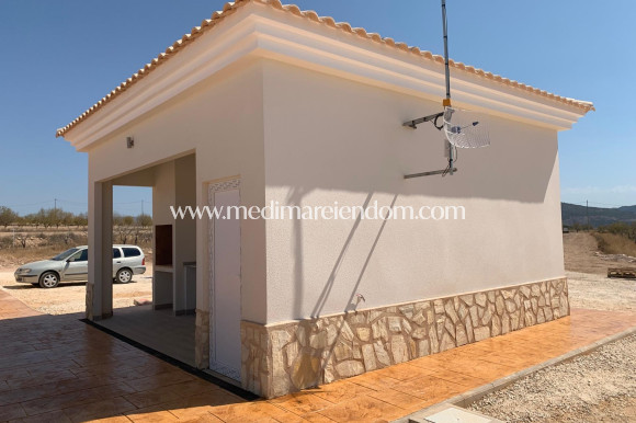 Nieuw gebouw - Villa - Pinoso - Camino Del Prado